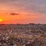 Short Paragraph on Harmful Effects of Polythene