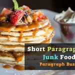 Short Paragraph on Junk Food