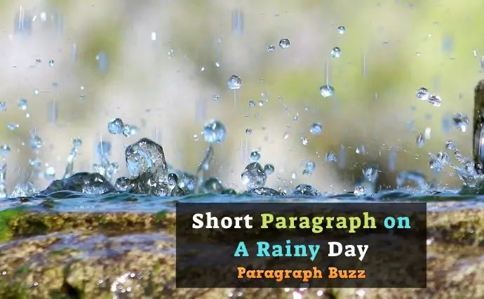Short Paragraph on a Rainy Day in 200 Words
