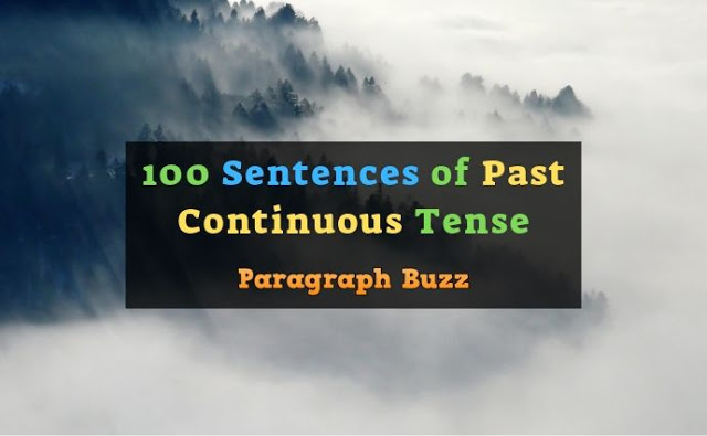 100 Sentences of Past Continuous Tense