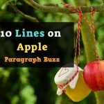 10 Lines on Apple