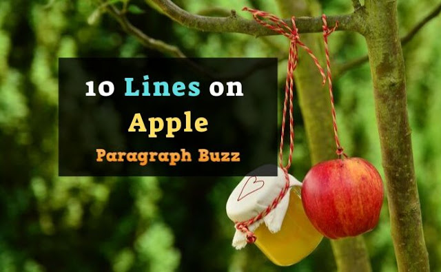 10 Lines on Apple in English for All Classes – Paragraph Buzz 10 Lines on Apple in English for All Classes – Paragraph Buzz