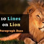 10 Lines on Lion in English