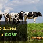 10 Lines on Cow
