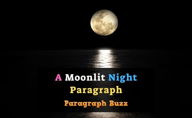 A Moonlit Night Paragraph