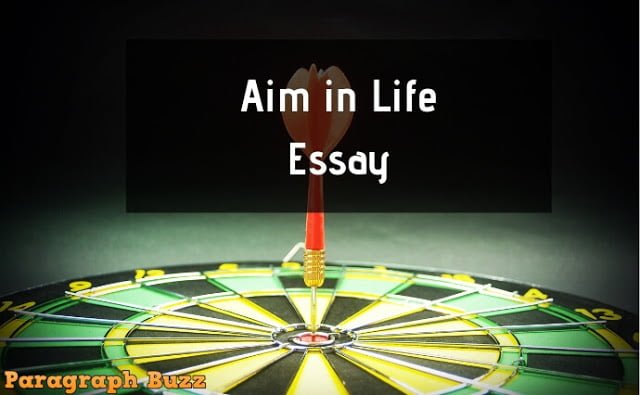 aim of life essay 150 words