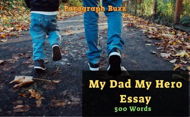 Essay on My Dad My Hero in 500 Words