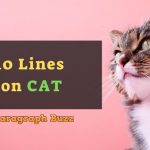 10 Lines on Cat in English