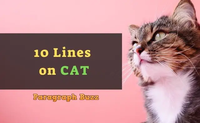 10 Lines on Cat in English