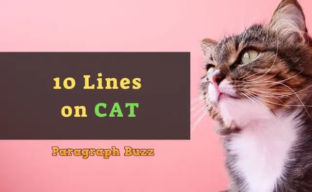 10 Lines on Cat in English for Kids and Students – Paragraph Buzz 10 Lines on Cat in English for Kids and Students – Paragraph Buzz