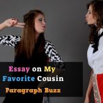 Essay on My Favourite Cousin