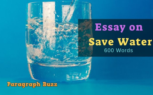 Essay on Save Water in 600 Words