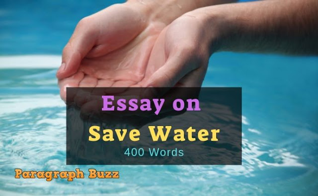 essay on water safety