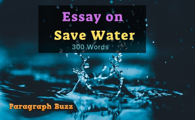 save water essay 300 words