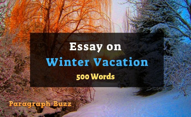 Essay on Winter Vacation in 500 Words