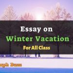 Essay on Winter Vacation