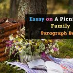 Essay on a Picnic with Family