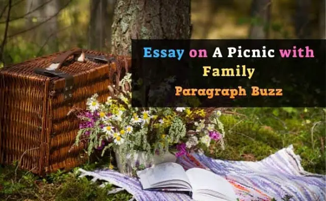 essay on picnic with friends in english