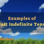 Examples of Past Indefinite Tense