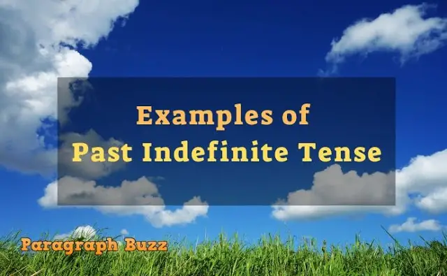 Examples of Past Indefinite Tense