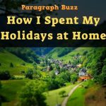 Essay on How I Spent My Holidays at Home