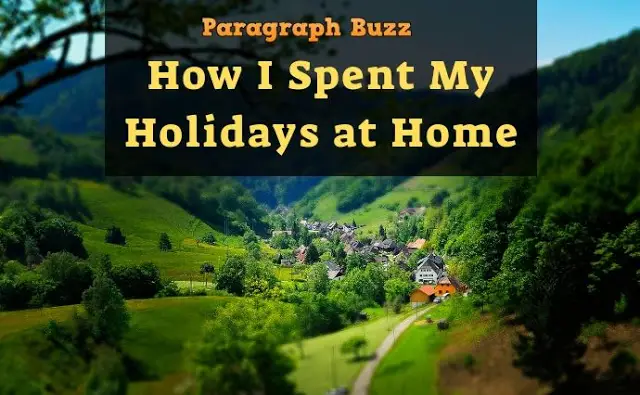 Essay on How I Spent My Holidays at Home