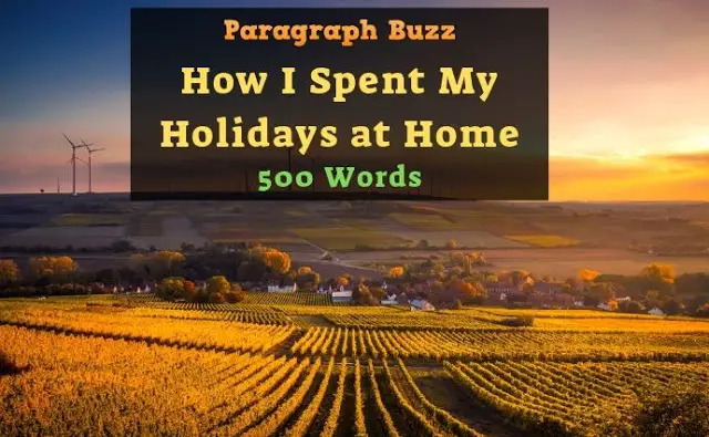 Essay on How I Spent My Holidays at Home