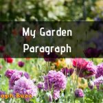 My Garden Paragraph