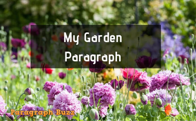 my garden essay paragraph