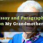 My Grandmother Essay in 100, 150, 250, 300, 400 Words for Students