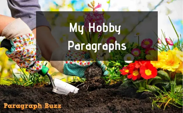 My Hobby Paragraphs