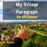 My Village Paragraph