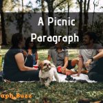 Paragraph on A Picnic