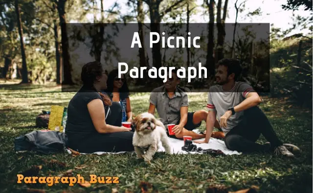 essay on picnic with friends 150 words