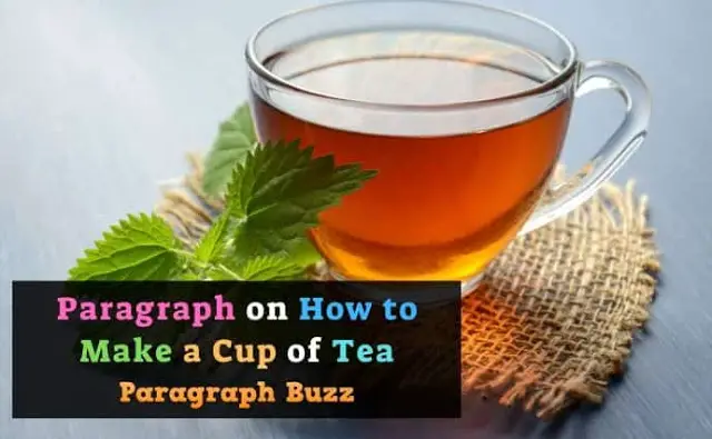 Paragraph on How to Make a Cup of Tea