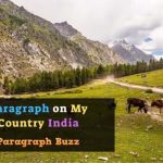 Paragraph on My Country Pakistan