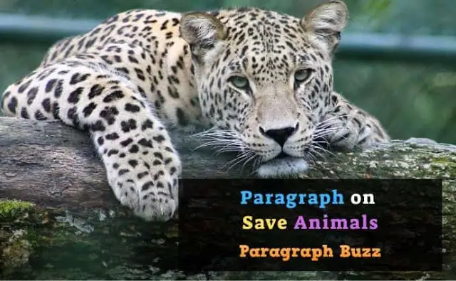 Paragraph on Save Animals for School Students – Paragraph Buzz Paragraph on Save Animals for School Students – Paragraph Buzz
