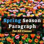 Paragraph on Spring Season