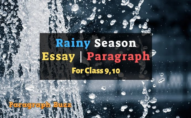 write essay on rain