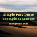 Simple Past Tense Example Sentences | Affirmative, Negative, Interrogative