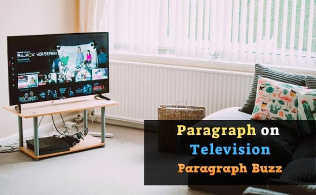 Write a Paragraph on Television for All
