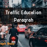 Paragraph on Traffic Education