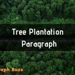 Tree Plantation Paragraph