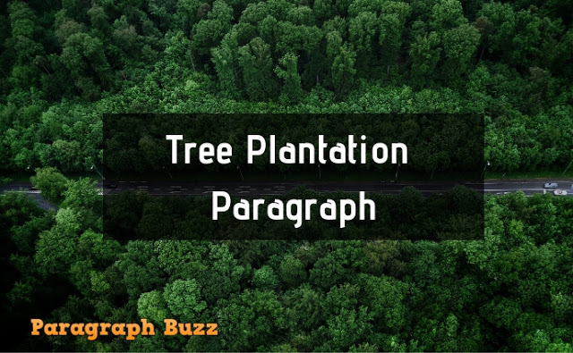 Tree Plantation Paragraph