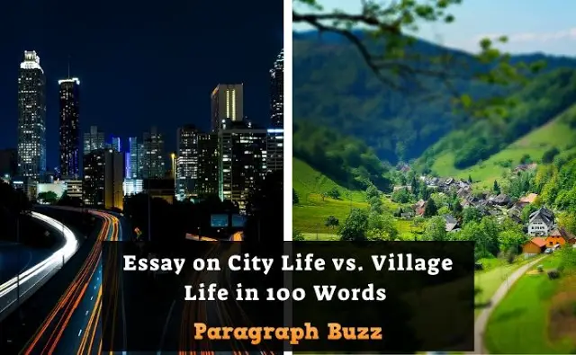 100 words essay on city life