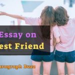 Essay on My Best Friend