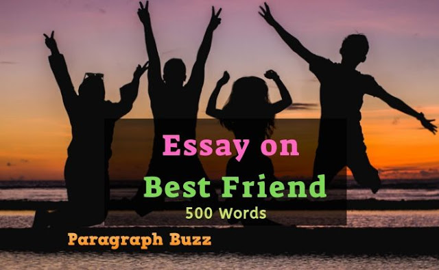 Essay on My Best Friend in 500 Words
