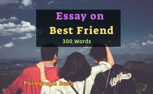 Essay on My Best Friend in 300 Words