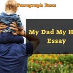 Essay on My Dad My Hero