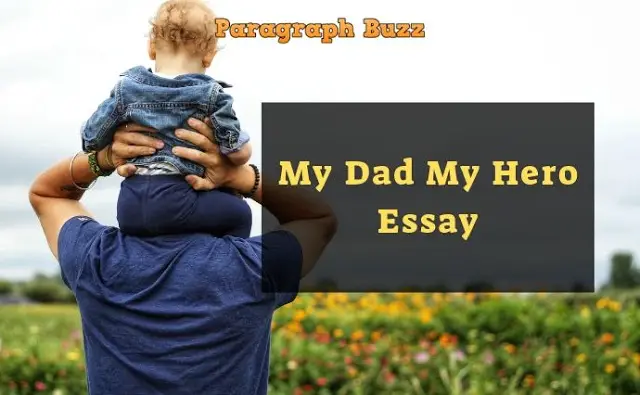 essay about dad as a hero